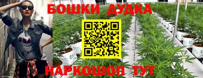 индика Берёзовский