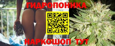 индика Берёзовский