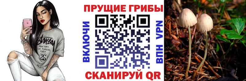 купить наркотик  Видное  Псилоцибиновые грибы Magic Shrooms 