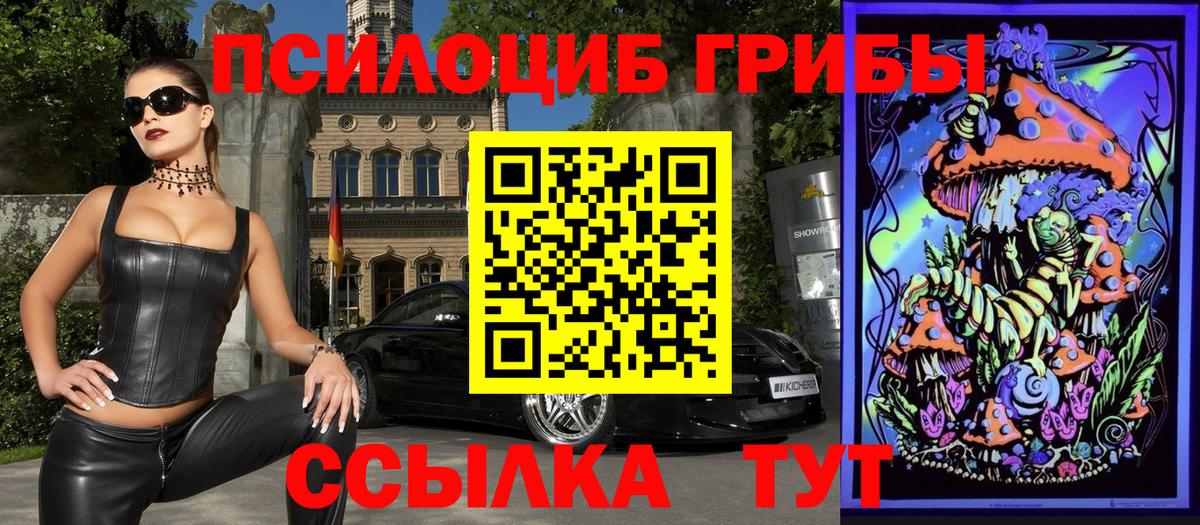 Псилоцибиновые грибы Psilocybe  Вход с VPN  Видное  Псилоцибиновые грибы мухоморы 