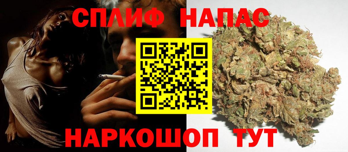 Конопля марихуана Видное